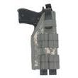 Modular Holster